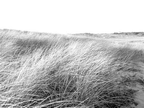 Cape Cod Institute 2026 Courses