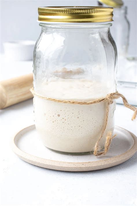 Sourdough Starter Recipe