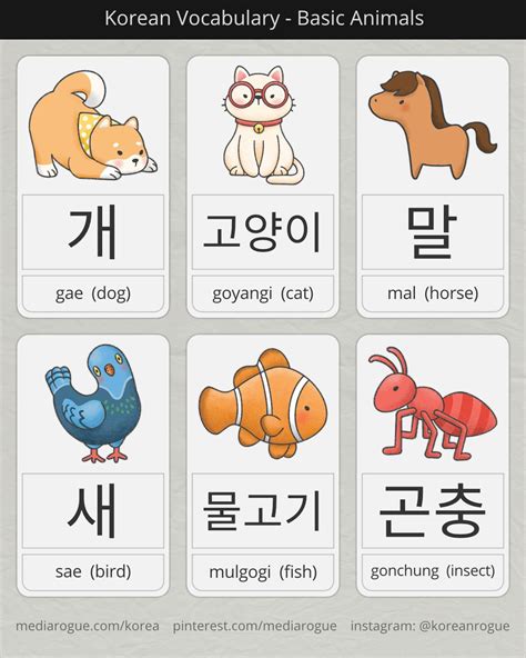 Basic Korean Animals | Korean language, Korean words, Korean language learning