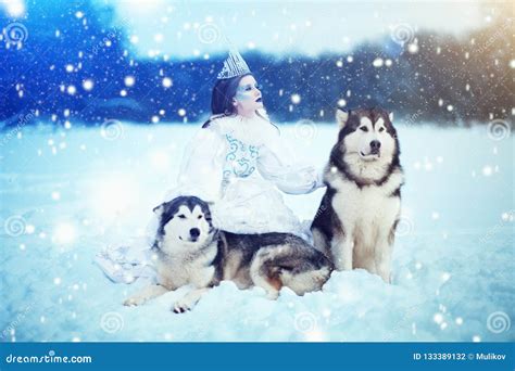 Snow-queen. Fairy Tale Girl with Huskies or Malamute Stock Photo ...