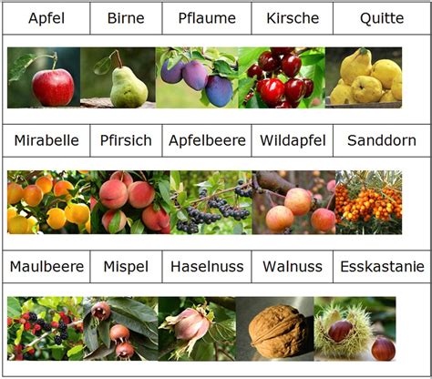 Image result for Java vs JavaScript Programming Languages