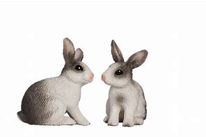 Image result for Spring Easter Bunnies