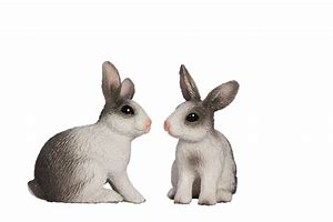 Image result for Easter Bunny Clip Art