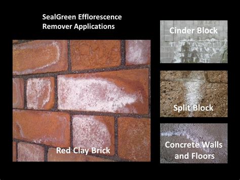 Image result for Efflorescence Repair