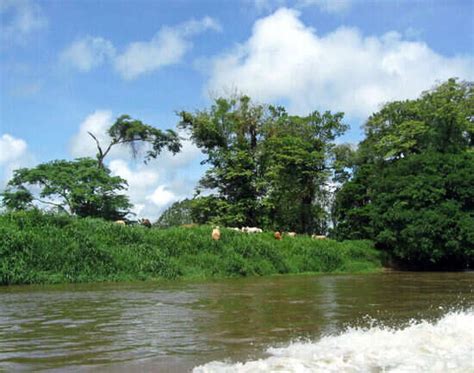 Costa Rica Itineraries | A Week Itinerary For Beautiful Costa Rica ...