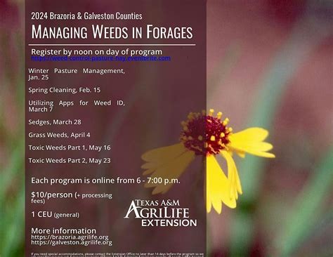 W**d Control in Forages, On-line Series by Brazoria & Galveston 2024 ...
