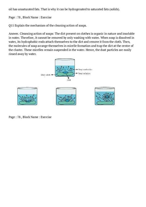 Science Class 10 Chapter 4 Videos 的图像结果