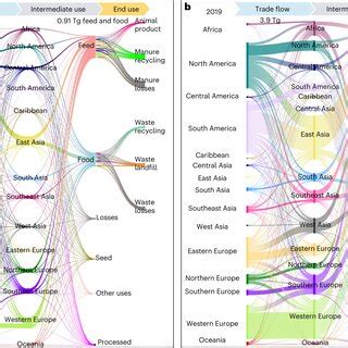 WTO Boxes 的图像结果