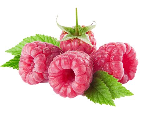 Image result for Raspberry Pi OS Lite Ffplay