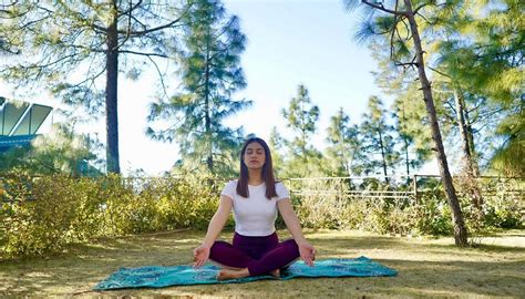 PINE DRIVE RESORT (Kumarhatti) - Resort Reviews, Photos, Rate ...