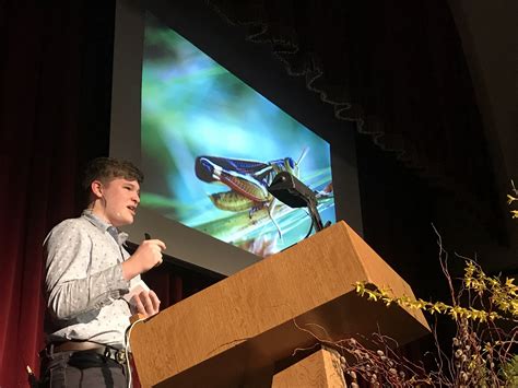 Chicago Waldorf School