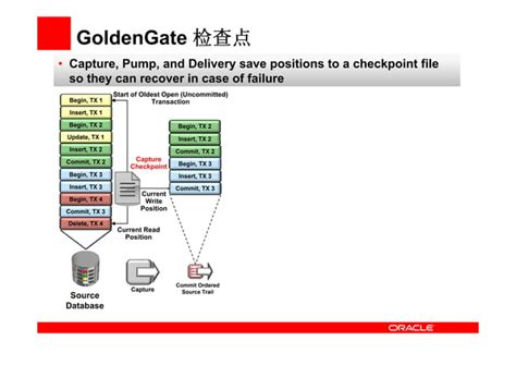 Image result for Oracle Golden Gate Tutorial