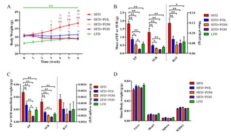 Pleurotus Ostreatus Ameliorates Obesity by Modulating the Gut ...
