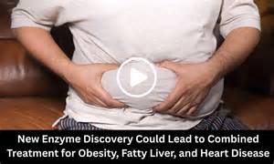 New Enzyme Discovery Could Lead to Combined Treatment for Obesity ...