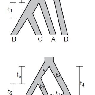 Tree Network 的图像结果