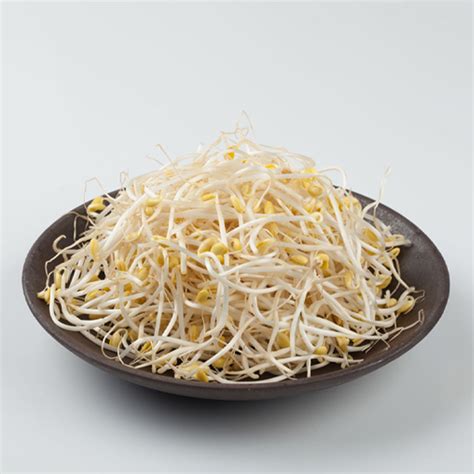 Fresh Bean Sprouts Online Singapore | Buy Fresh Bean Sprouts Online ...