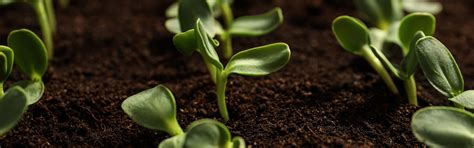 Our Team - Paine Schwartz Partners