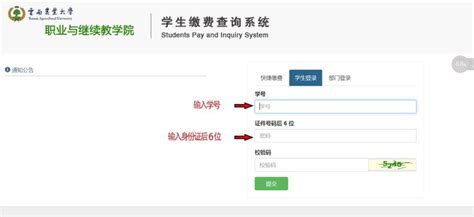 河南农业大学学生缴费和电子发票查询指南_学费