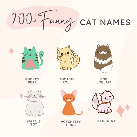 200+ Funny Names for Cats - HubPages