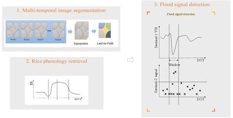Mapping Paddy Rice with Sentinel-1/2 and Phenology-, Object-Based ...