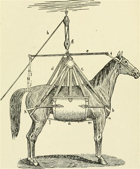 figures of speech - Simile or idiom, " hung LIKE a _____" - English ...