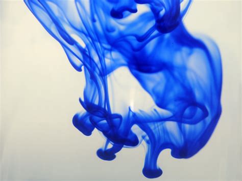 Diffusion - Nature paints it all | NCBS news