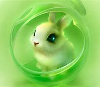 Image result for Cute 3D Bunny Wallpaper