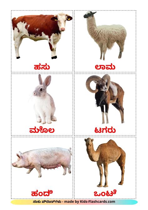 15 FREE Farm animals Flashcards | PDF | Kannada Words