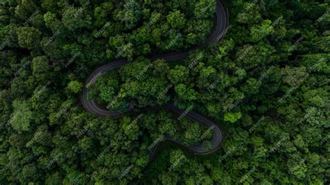 Road 的图像结果