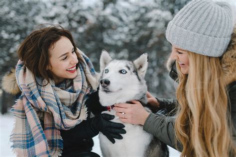 Financials | Cortland County SPCA