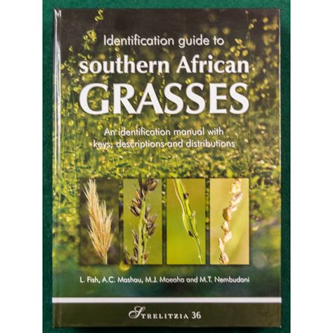 STRELITZIA 36 - Identification guide to Southern African grasses seeds ...