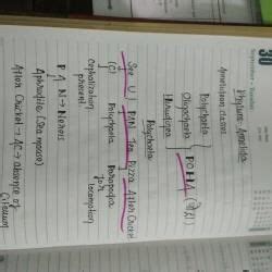 Some concepts and Tricks - NEET PDF Download