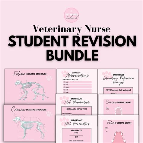 Image result for Vet Tutorial