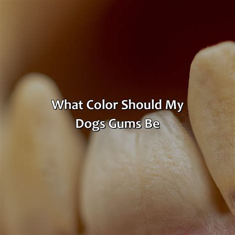 What Color Cancels Purple - colorscombo.com