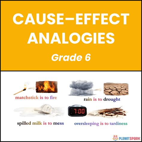 Class 6 Grammar Worksheet on Cause-Effect Analogies | PlanetSpark