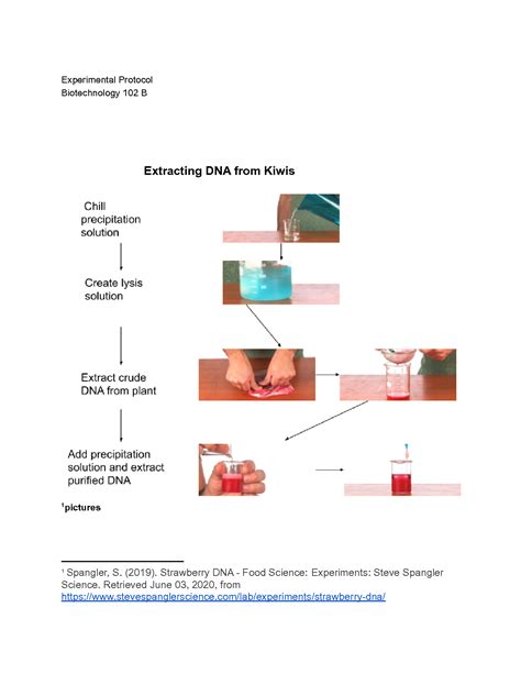 Dna Extraction Protocol From Strawberries