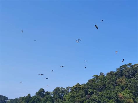 Avante Island Hopping Cruise Experience in Langkawi - Klook India