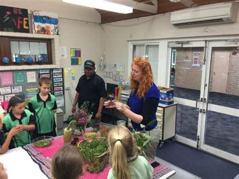 Students revive small belt of disused bushland - Landcare Australia ...