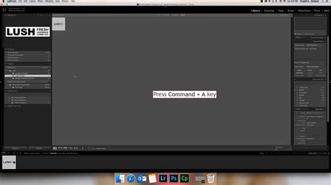 LR Tutorial Editing 的图像结果