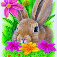 Image result for Cute Lop Eared Bunny