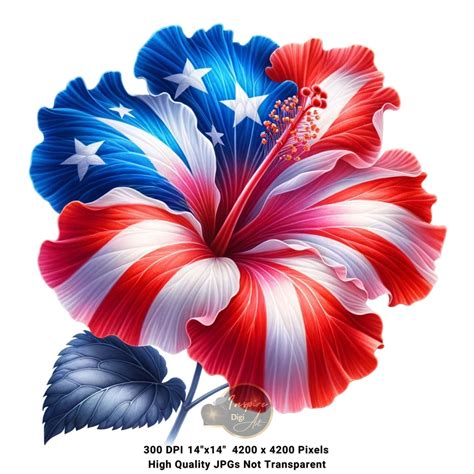 4th of July Flower Clipart, Patriotic Floral Clipart, Independence Day ...