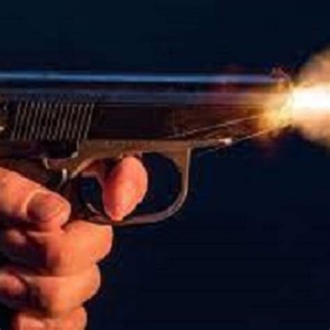 Gunshot audio dataset | Kaggle