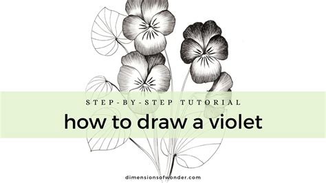 How To Draw A Violet Flower