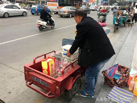 山西：街头有人售卖“小老鼠” 无知儿童当宠物饲养-搜狐大视野-搜狐新闻