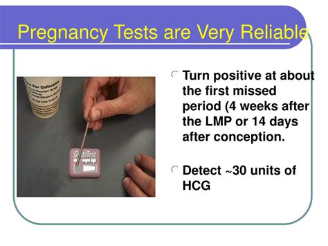 PPT - PHYSIOLOGY OF PREGNANCY PowerPoint Presentation, free download ...