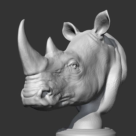 ArtStation - Rhino Head AM12 3D print model | Resources