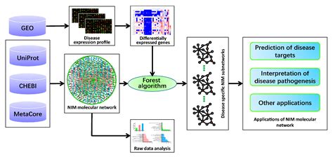 Knowledge-Based Neuroendocrine Immunomodulation (NIM) Molecular Network ...