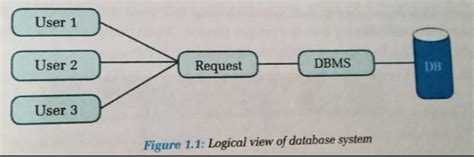 DBMS Class 12 的图像结果