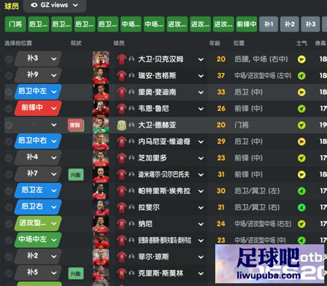 FM2022 韩国FLAYUS皮肤包汉化版[3.5更新+原FMNATION皮肤] - 足球吧 - liwupuba.com