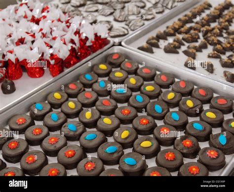 Rachel larson hi-res stock photography and images - Alamy